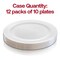 White with Silver Edge Rim Plastic Buffet Plates - 9" (120 Plates)